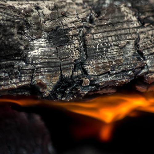 Photo #4679832