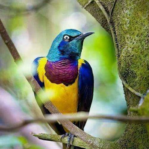 Photo #4679952