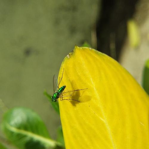 Photo #4680469