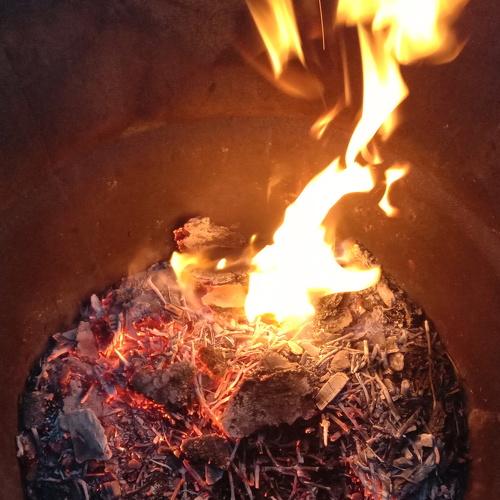 Photo #4680751