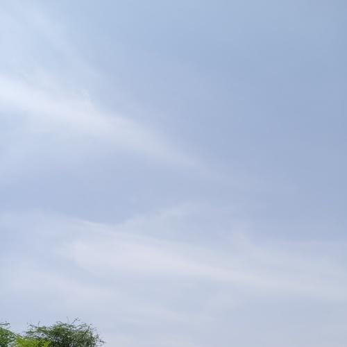 Photo #4680802