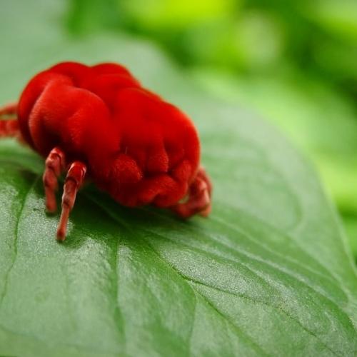 Just Love the nature