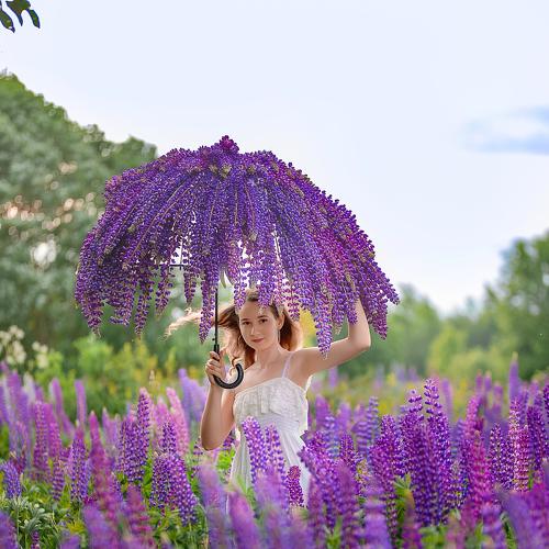 Photo #4681279