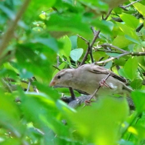 Photo #4681423