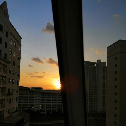 Photo #4681445