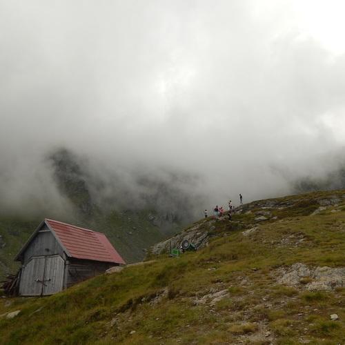 Photo #4681682