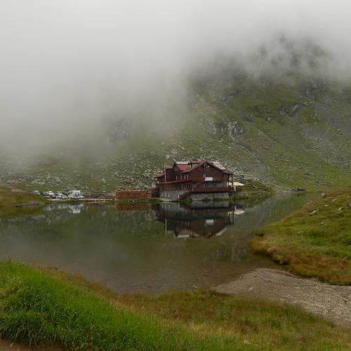 Photo #4681685