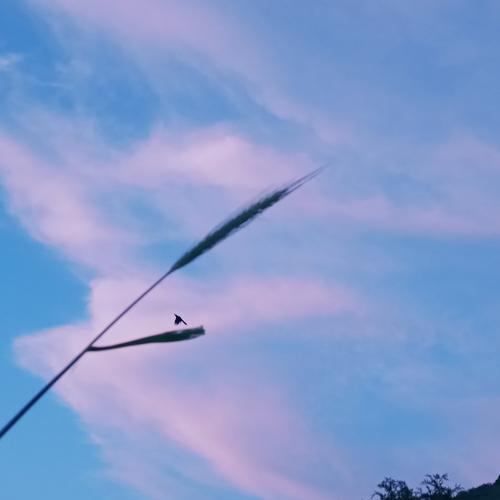 Photo #4681825