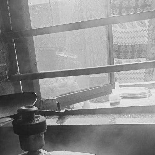 Photo #4681864