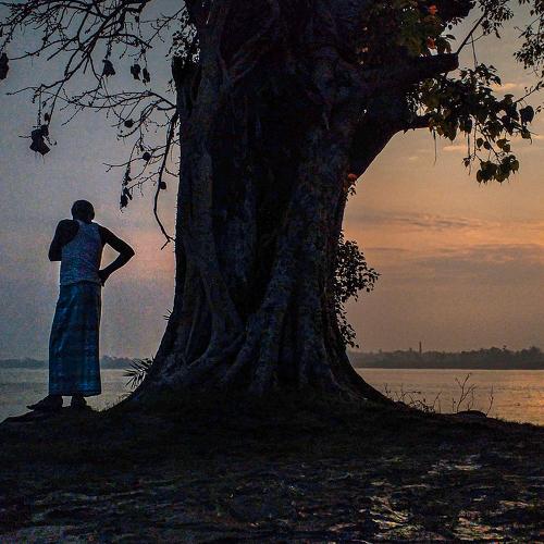 Photo #4682154