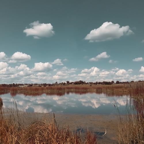 Photo #4682253