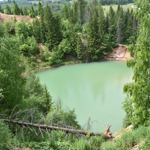 Photo #4682411