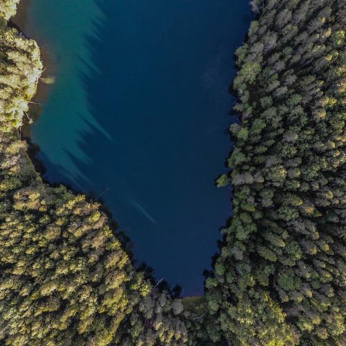 Photo #4682844