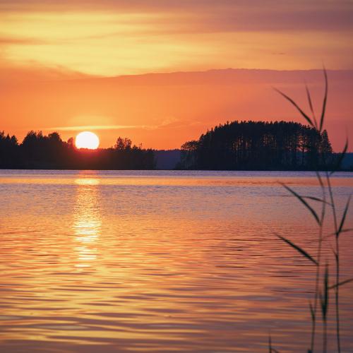 Photo #4682882