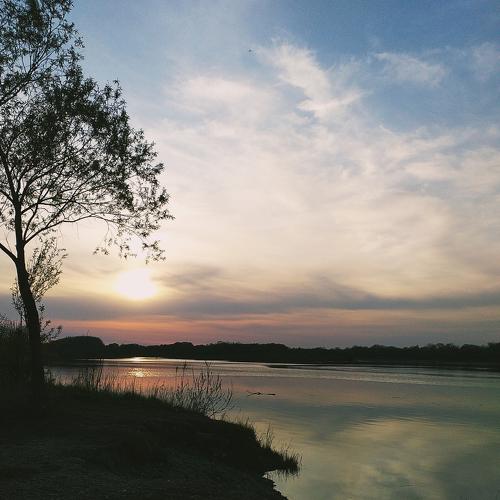 Photo #4683672