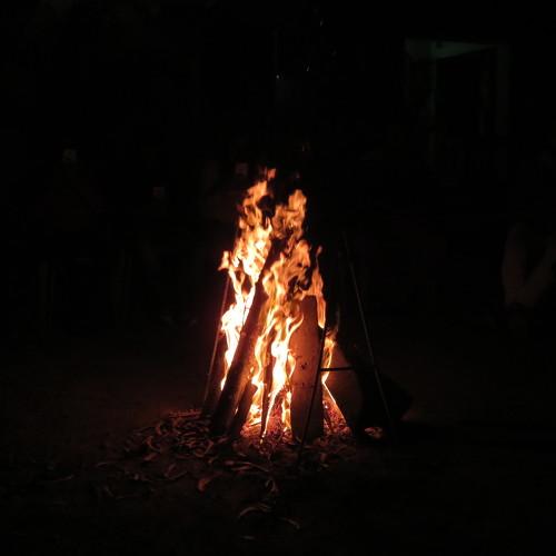 Photo #4683835