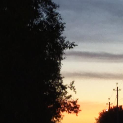 Photo #4684336