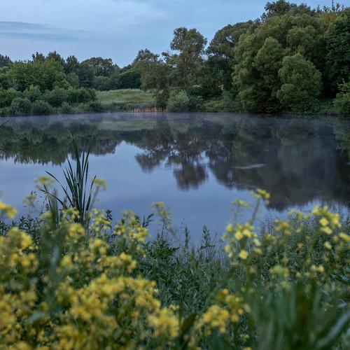 Фотография #4684675