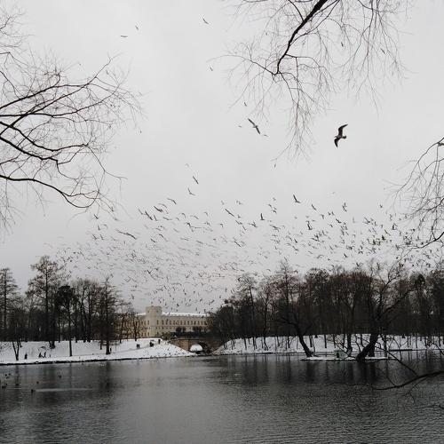 Photo #4685192
