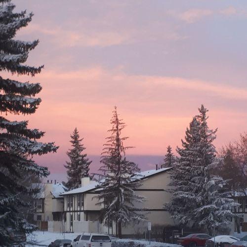 Photo #4685260