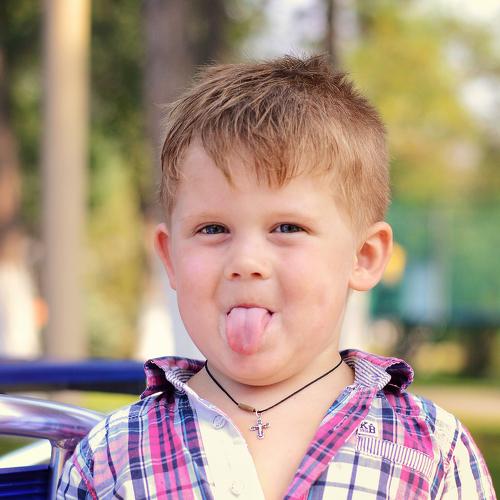 Photo #4685392