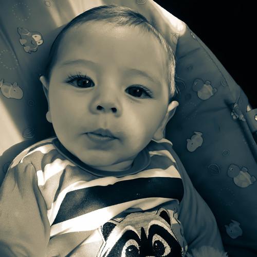 Photo #4685530