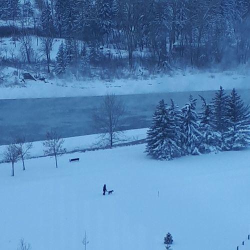 Photo #4685585