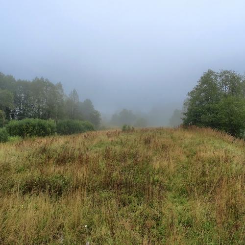 Photo #4686172