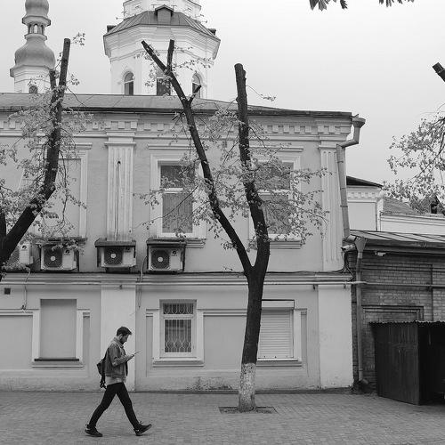деревья шагают стоя