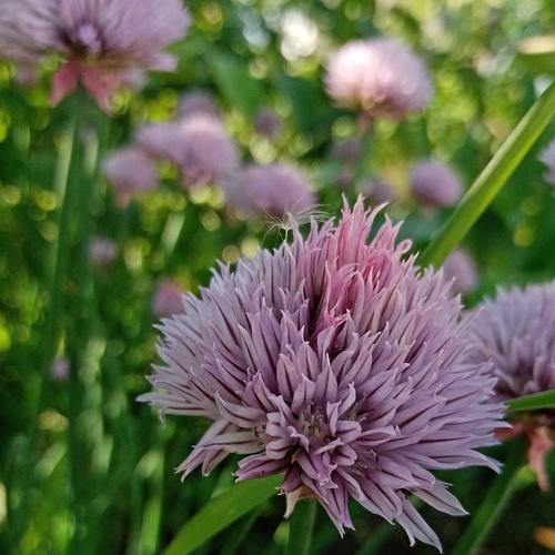 Photo #4687197