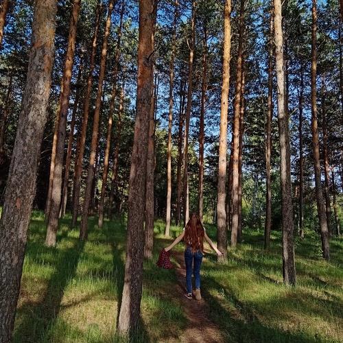 Photo #4687204