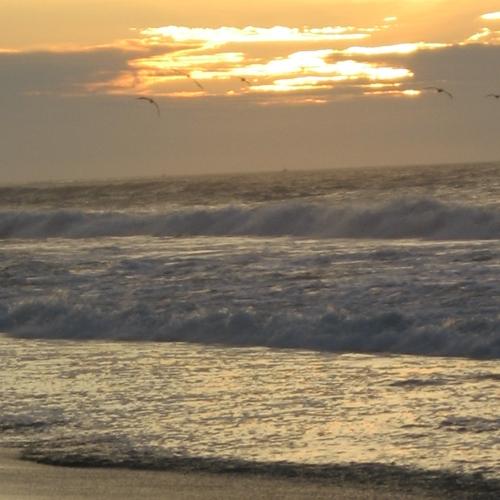 Photo #4687213