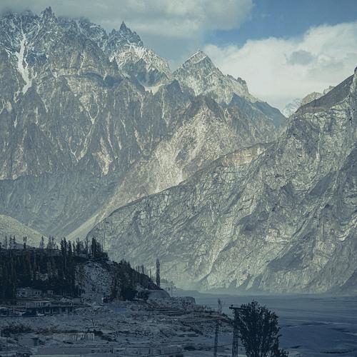 Photo #4687236