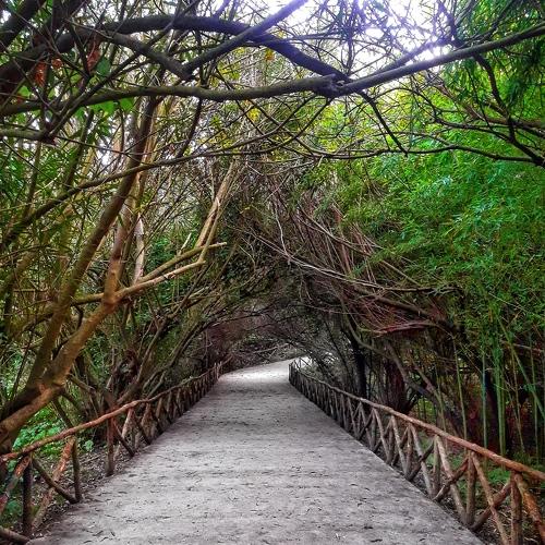 Photo #4687369