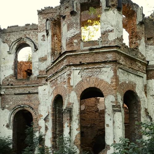 Photo #4687517