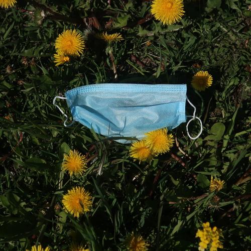 Photo #4687772