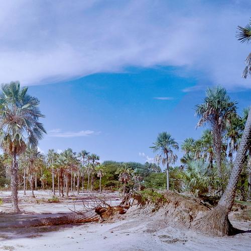 Photo #4687951