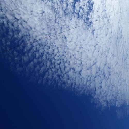 Photo #4688008