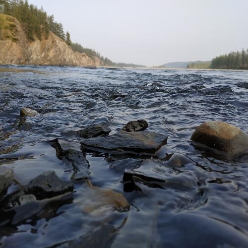 Photo #4688068