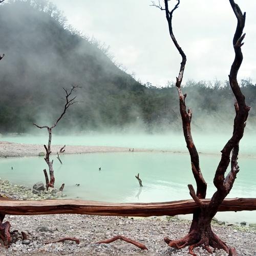 Photo #4688130