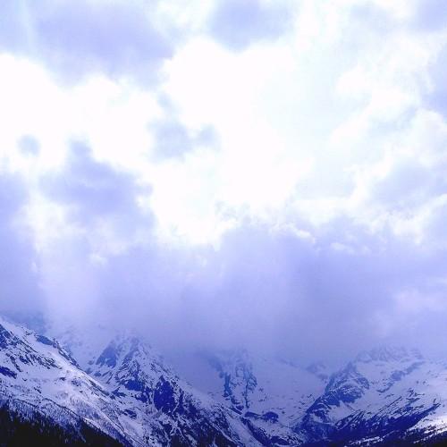 Photo #4688461