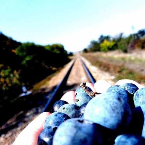 Photo #4688465