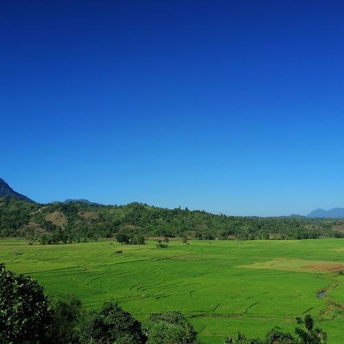 Photo #4688854