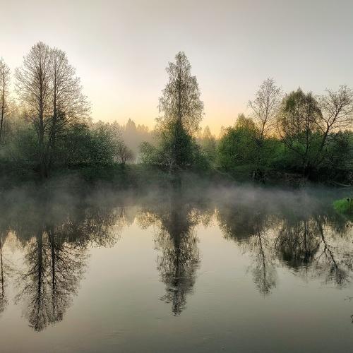 Photo #4689462