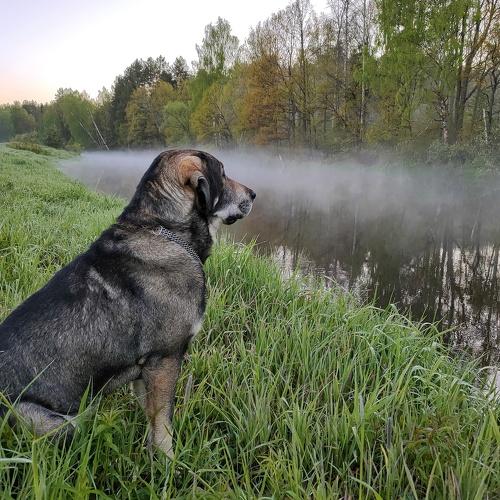 Photo #4689464