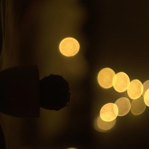 Photo #4689608