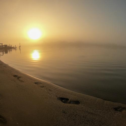 Bojana in fog