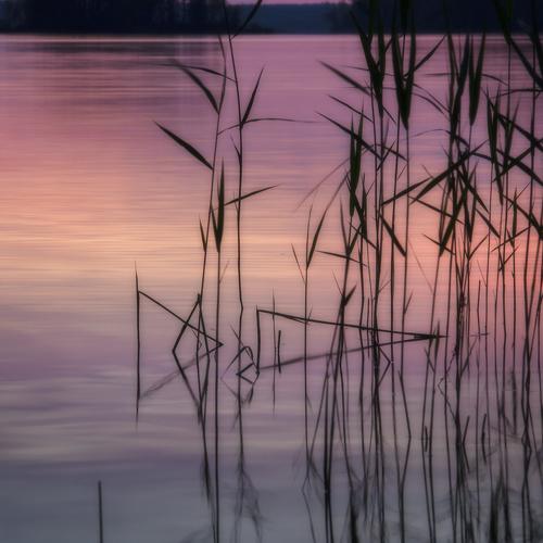 Photo #4689719