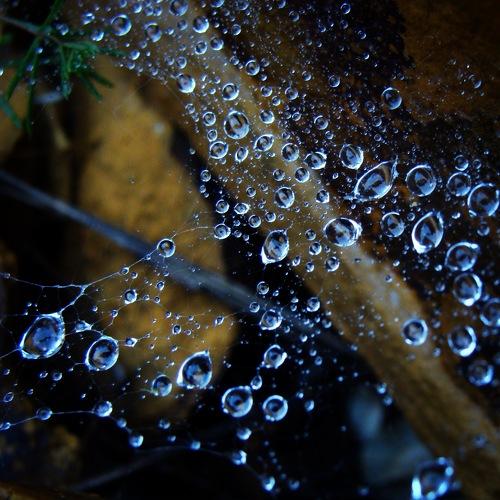 Photo #4690102