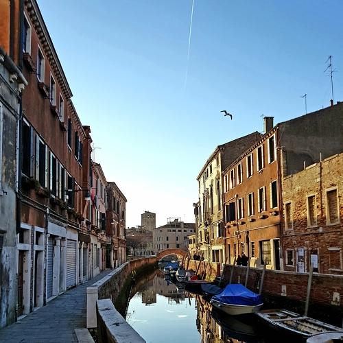 Photo #4690137